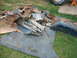 1992 Ford Mustang - A collection of heavily rusted car parts and blue carpet are scattered on the grass.