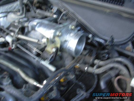 Engine bay with throttle body and hoses