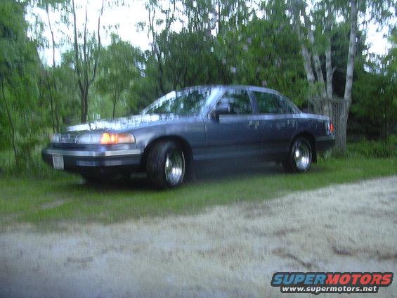 Dark sedan with chrome wheels parked on grass, trees in background