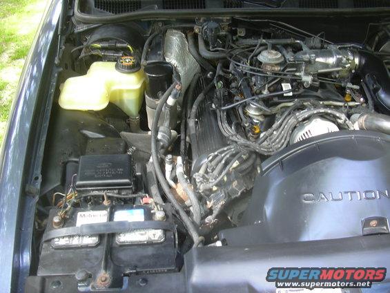 Engine bay of a 1996 Ford Crown Victoria with a V8 engine, battery, and coolant reservoir visible
