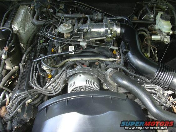 engine bay with alternator, air intake, and various hoses and wires