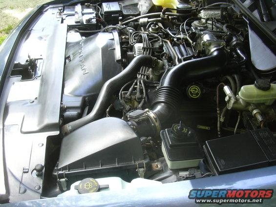 engine bay with hoses, wires, and fan shroud. Ford logo visible on air intake