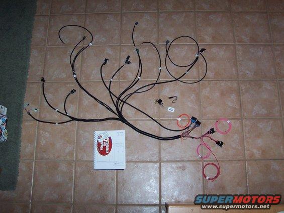 100_2156.jpg Harness/Chip and instructions