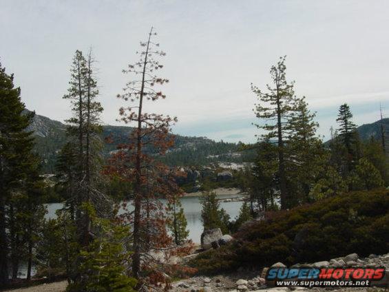 Lake and trees in a mountainous landscape