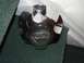 1999 Ford Crown Victoria - Center Cap