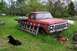 1979 Ford F-150 photo