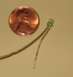 1999 Ford Crown Victoria - A picture of the type of LED used in my signal mirrors