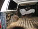 1978 Ford Bronco - The interior of a truck bed, covered in dirt and debris, with a tarped object inside.