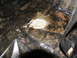 1978 Ford Bronco - The interior floor pan of a vehicle shows significant rust and water damage.