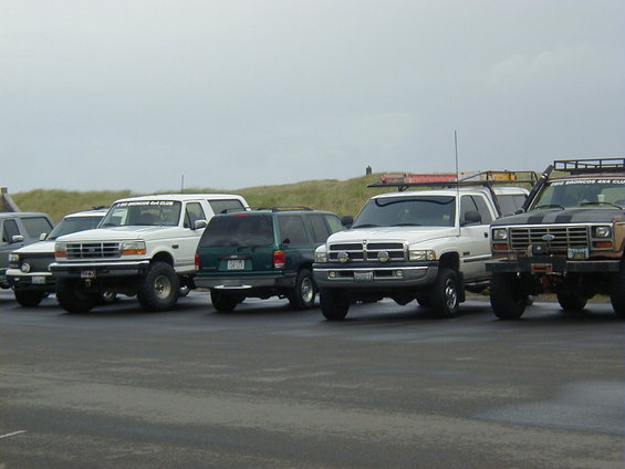 Several modified trucks and SUVs are parked in a line on a wet surface, with grassy dunes in the background