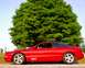 1993 Ford Probe - A red coupe with a GT badge is parked on a gravel surface with a large green tree in the background.