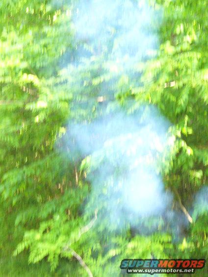 Smoke rising through green foliage with a Supermotors logo at the bottom right