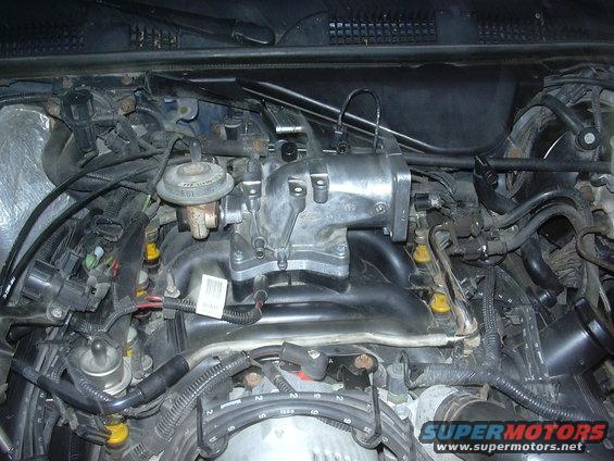 Close-up of a car's engine bay with various hoses, wires, and engine parts visible