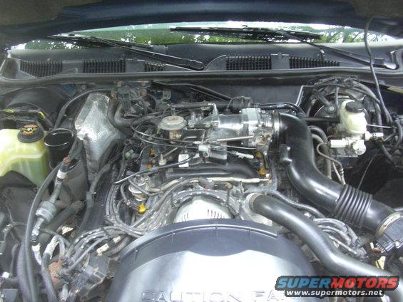 1996 Ford Crown Victoria engine bay with V8 engine components visible