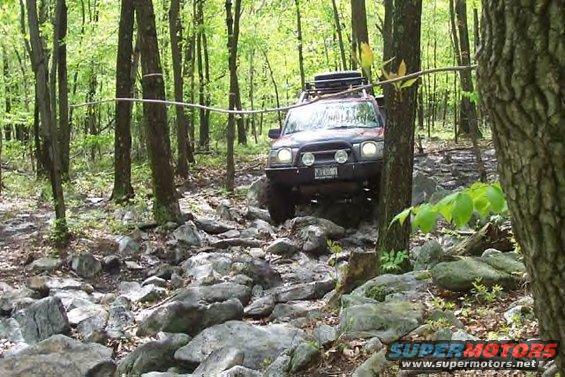 Red SUV navigating a rocky forest trail with a roof rack