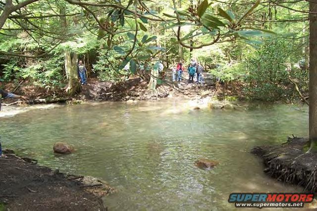 Wooded scene with a creek and several people standing on the bank