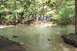 1991 Ford Bronco - A group of people gather by a creek in a wooded area.