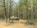 1991 Ford Bronco - A muddy 1992 Ford Bronco navigates a wooded trail, kicking up dirt and water.