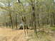 1991 Ford Bronco - An off-road vehicle navigates a muddy trail through a dense forest.