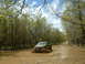 1991 Ford Bronco - A truck navigates a challenging muddy path surrounded by a dense forest.