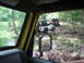 2001 Jeep Wrangler - Two Jeep Wranglers navigate a wooded trail, one white and one red, with a stream nearby.