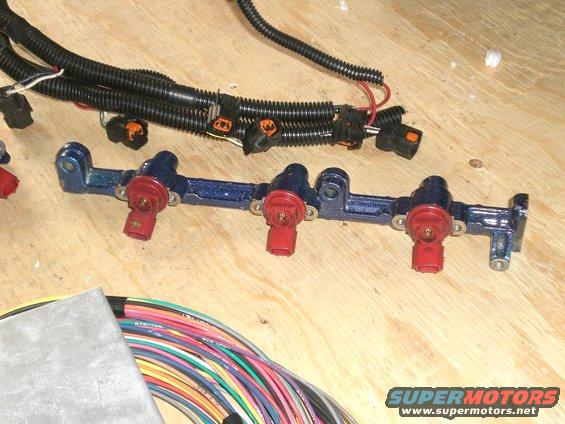 Blue fuel rail with red injectors and wiring harness