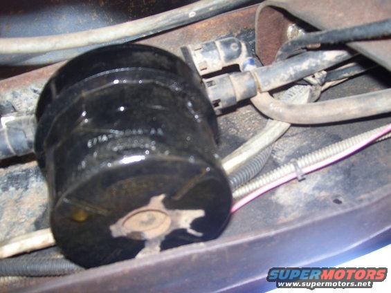 Black cylindrical fuel filter with hoses attached, showing some wear