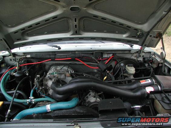 Engine bay with V8 engine, aftermarket air intake, and blue hoses