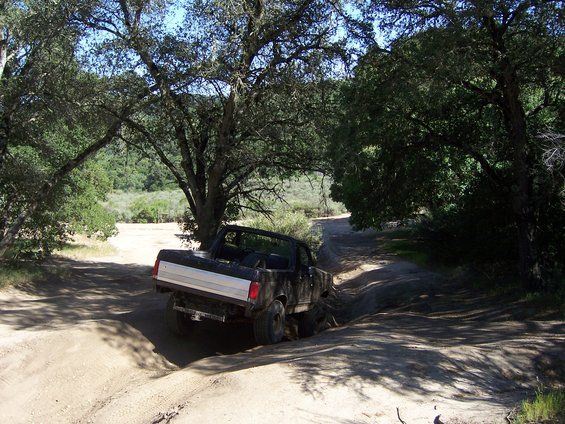 Ford Bronco going off-road on a dirt path under trees