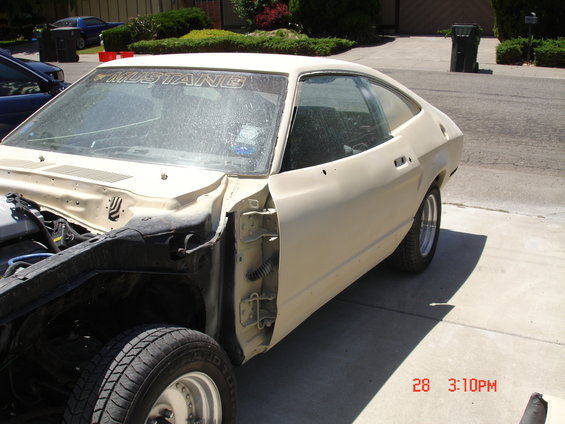 mustang-ii-project-(2007)_55.jpg In Primer
View 1
