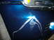 1978 Ford Bronco photo