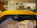 Clear Coat View 4