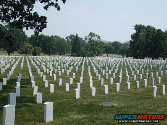 Rows of white headstones in a grassy field with trees in the background