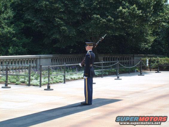 Soldier in uniform with rifle stands guard in front of a stone wall and manicured plants