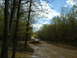 1991 Ford Bronco - Multiple SUVs navigate a challenging muddy path through a dense forest.
