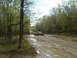 1991 Ford Bronco - Off-road vehicles navigate a challenging muddy path surrounded by trees.