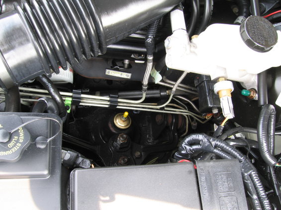 Engine bay detail with brake fluid reservoir and air intake hose