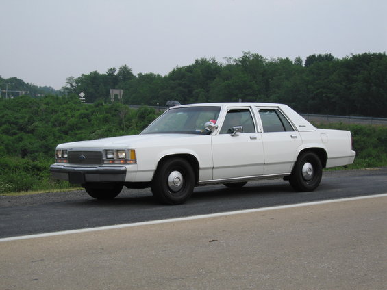 stap06-104.jpg 