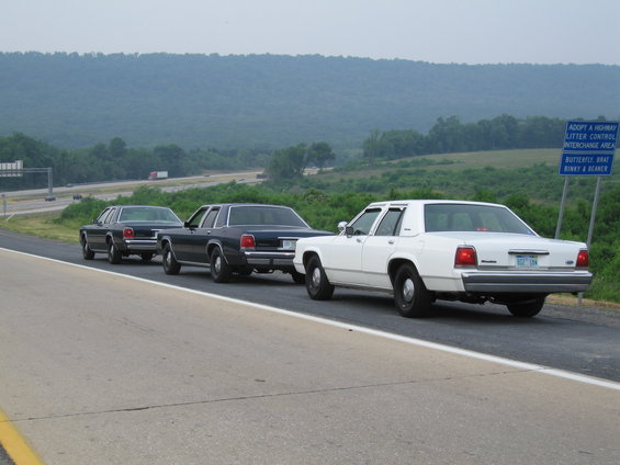 Three 1991 Ford Crown Victoria LTD sedans driving on a highway. White car in foreground, two dark cars behind it