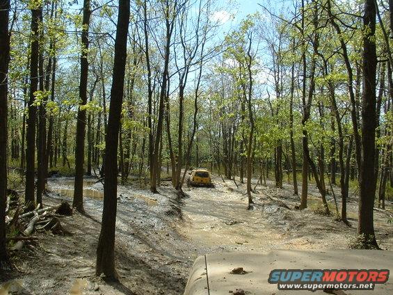 Two yellow SUVs are driving on a muddy trail through a forest