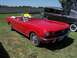 2002 Ford Mustang - A red convertible is parked on a grassy field next to another classic car.