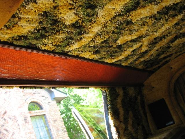 Interior view of a van with camouflage-patterned fuzzy upholstery on the ceiling and walls