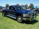 2002 Ford Mustang - This blue dually pickup truck features a prominent chrome grille guard and dual rear wheels.