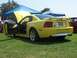 2002 Ford Mustang photo