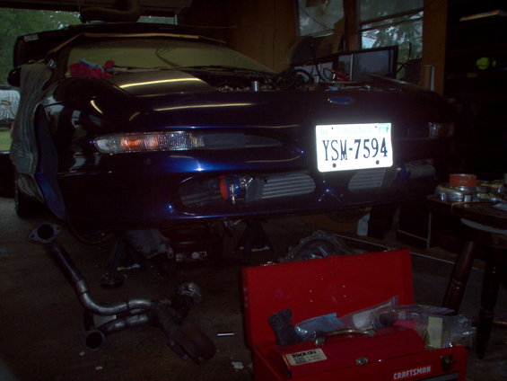 im000303.jpg