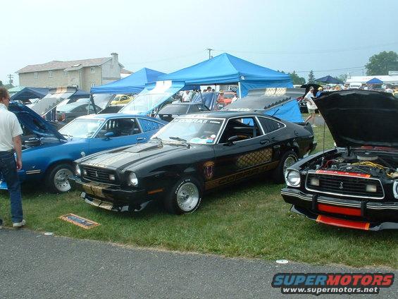 Black 1978 Ford Mustang II Cobra II with gold stripes and snake decal, parked on grass