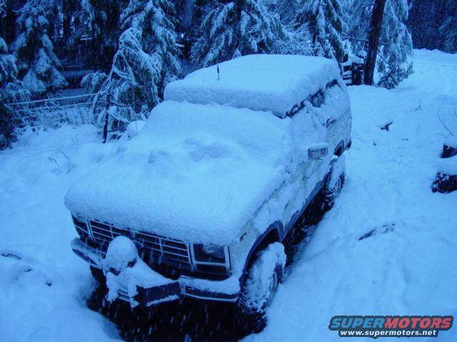 SUV buried in snow, trees in background