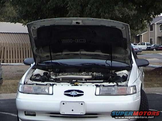 White 1993 Ford Taurus SHO front view with hood open