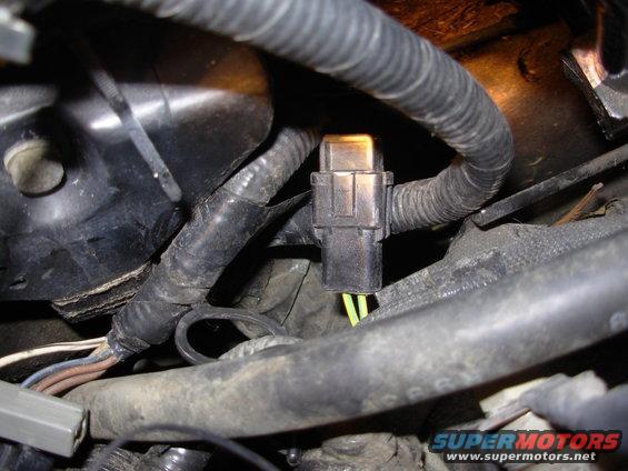 Engine wiring harness connector with yellow wires