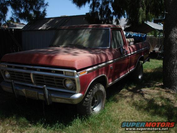 Red 1977 Ford F-150 pickup truck parked in a grassy yard, front 3/4 view